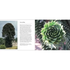 National Trust 50 Great Trees of the Hot