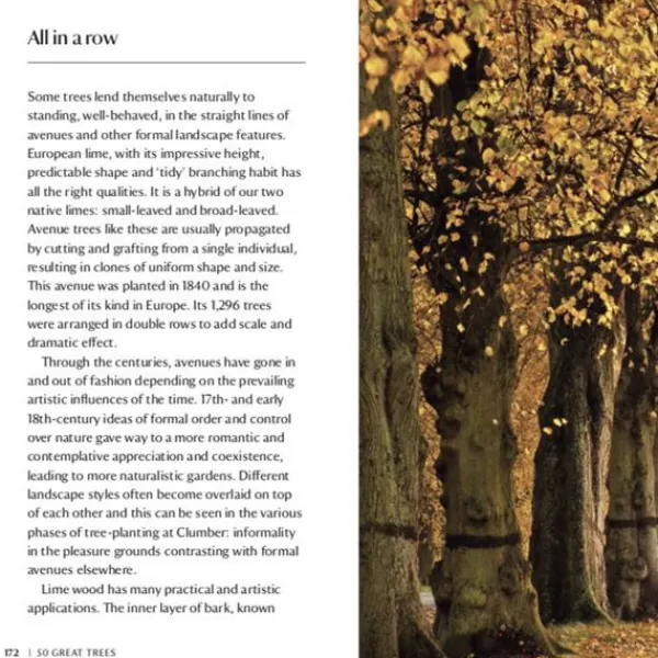 National Trust 50 Great Trees of the Hot