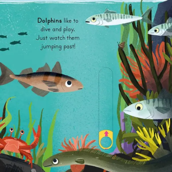 National Trust Big Outdoors for Little Explorers: Seaside Discount
