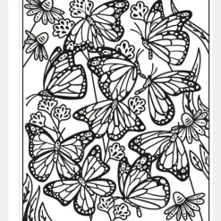 National Trust Butterflies Magic Painting Book Outlet