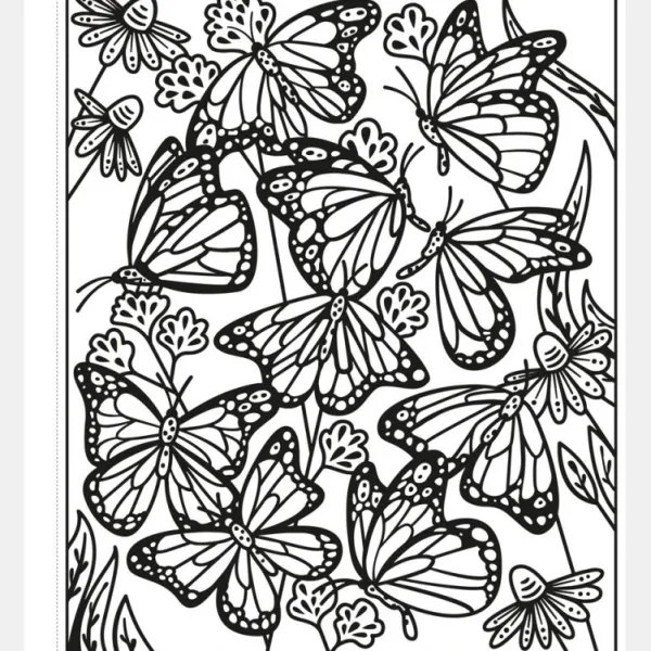 National Trust Butterflies Magic Painting Book Outlet