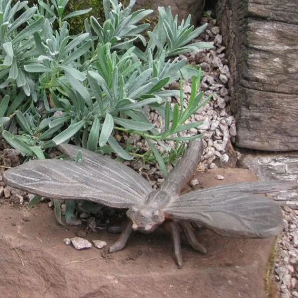 National Trust Cast Iron Dragonfly Sculpture Online