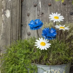 National Trust Cornflower Plant Stake, Set of 2 Hot