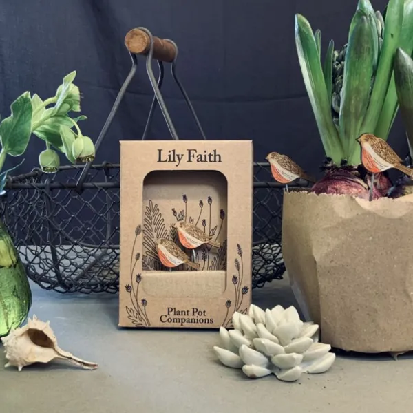 National Trust Lily Faith, Robin Plant Pot Companions Outlet