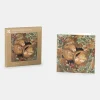National Trust Cosy Dormice Christmas Cards, Box of 10 Best