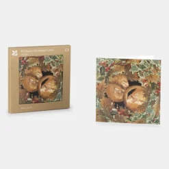 National Trust Cosy Dormice Christmas Cards, Box of 10 Best