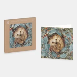 National Trust Cosy Hedgehog in Leaves Christmas Cards Box of 10 Discount