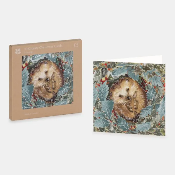 National Trust Cosy Hedgehog in Leaves Christmas Cards Box of 10 Discount