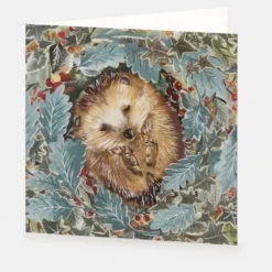 National Trust Cosy Hedgehog in Leaves Christmas Cards Box of 10 Discount
