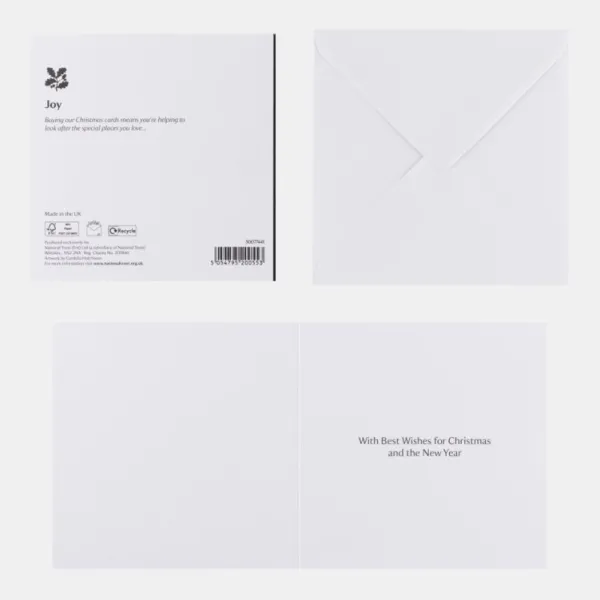 National Trust Joy Angels Christmas Cards Box of 10 Sale