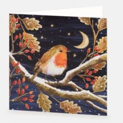 National Trust Moonlit Robin Christmas Cards Box of 10 Outlet