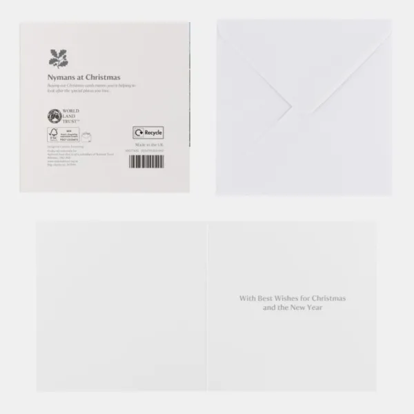 National Trust Nyman's at Christmas Cards Box of 10 Clearance