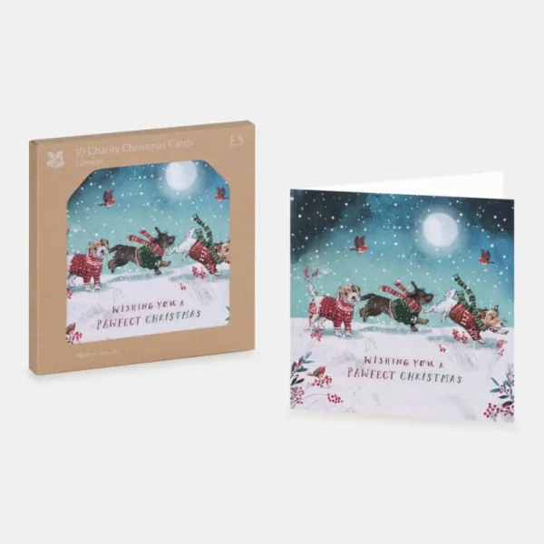 National Trust Pawfect Christmas Cards Box of 10 Sale
