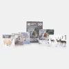 National Trust Photographic Christmas Cards Value Pack, Box of 30 Discount