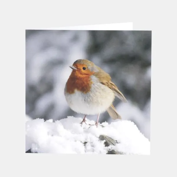 National Trust Photographic Christmas Cards Value Pack, Box of 30 Discount