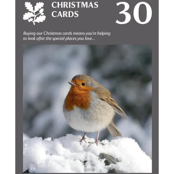 National Trust Photographic Christmas Cards Value Pack, Box of 30 Discount