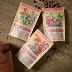 National Trust Seed Balls Nymans Mix Online
