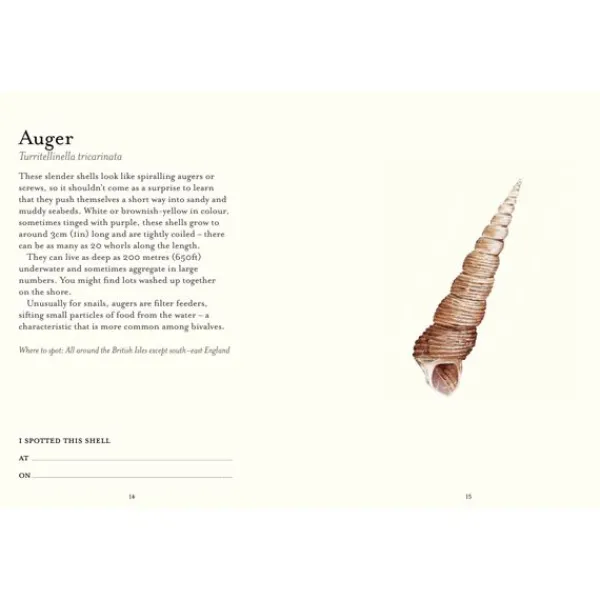 National Trust Shell Spotters Guide Clearance
