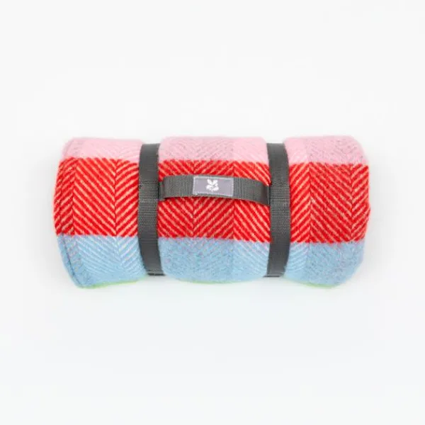 National Trust Waterproof Backed Picnic Rug, Rainbow Best