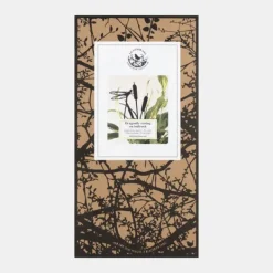 National Trust Pot Stem, Dragonfly on Rushes Clearance