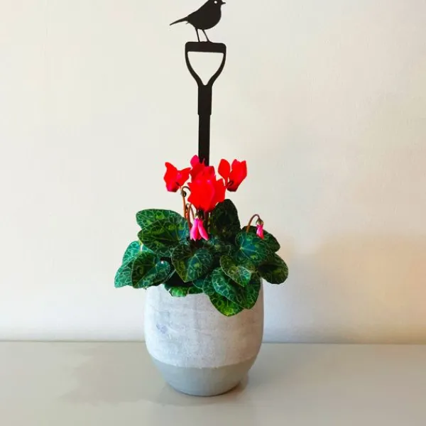 National Trust Pot Stem, Robin on a Fork Clearance