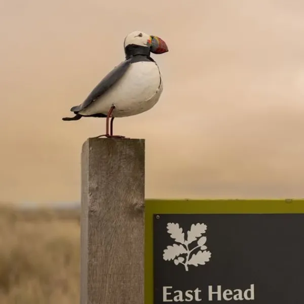 National Trust Recycled Puffin Sculpture Best