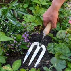 National Trust RHS Stainless Steel Hand Fork Fashion