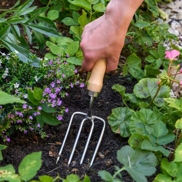 National Trust RHS Stainless Steel Round Tine Fork Best