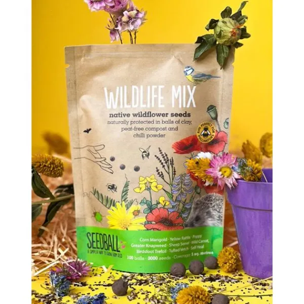 National Trust Seedball Wildlife Mix Grab Bag Best