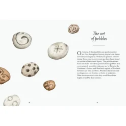 National Trust The Pebble Spotter's Guide Sale