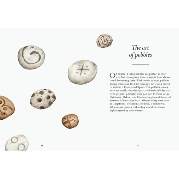 National Trust The Pebble Spotter's Guide Sale