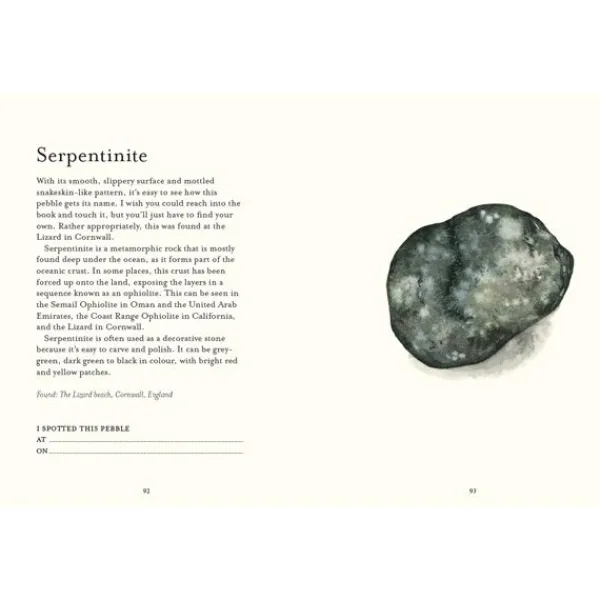 National Trust The Pebble Spotter's Guide Sale