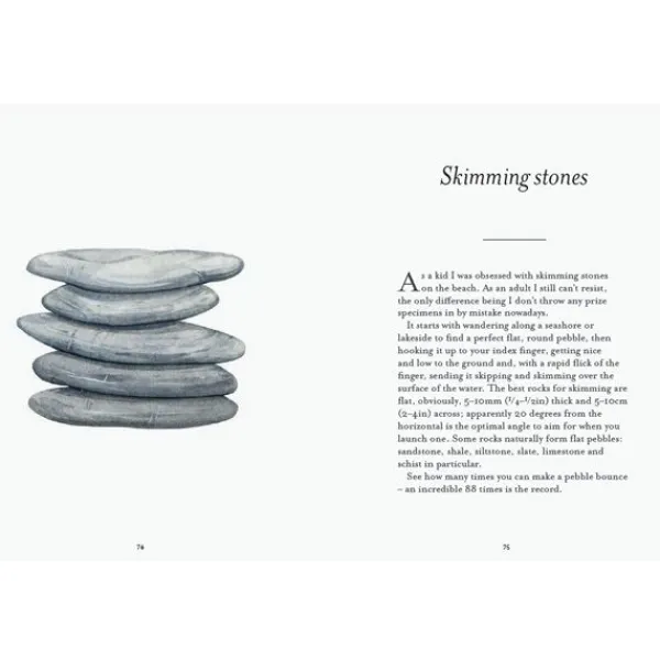National Trust The Pebble Spotter's Guide Sale