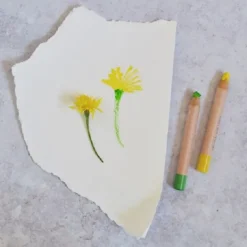 National Trust Water Colour Pencils Online