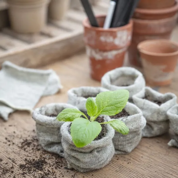 National Trust Wool Pots, Pack of 10 Hot